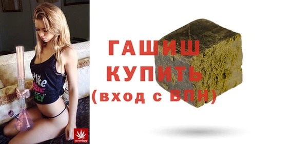 шишки Няндома