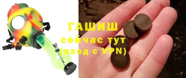 шишки Няндома