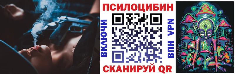 Псилоцибиновые грибы Psilocybine cubensis  Славянск-на-Кубани 